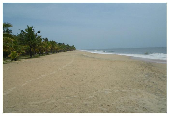 Marari Beach Paradise Марарикулам Экстерьер фото
